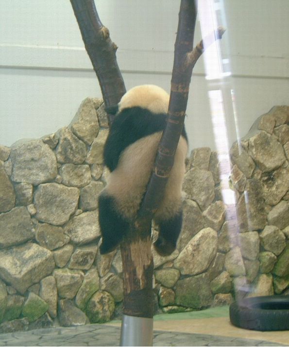 f0004387_0332114.jpg