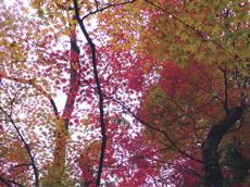 a0079292_18172495.jpg
