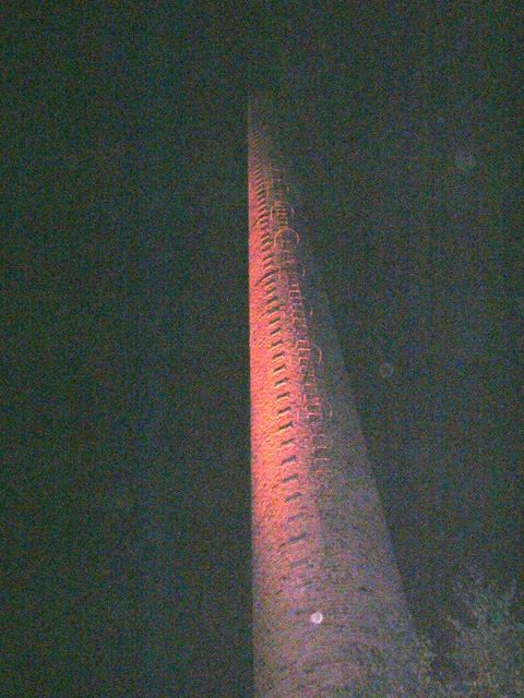 f0065092_20105670.jpg