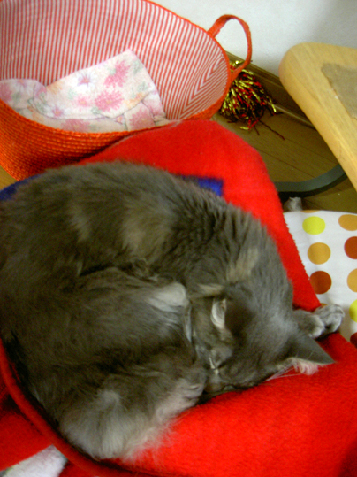 b0065499_012067.jpg
