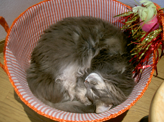 b0065499_065586.jpg