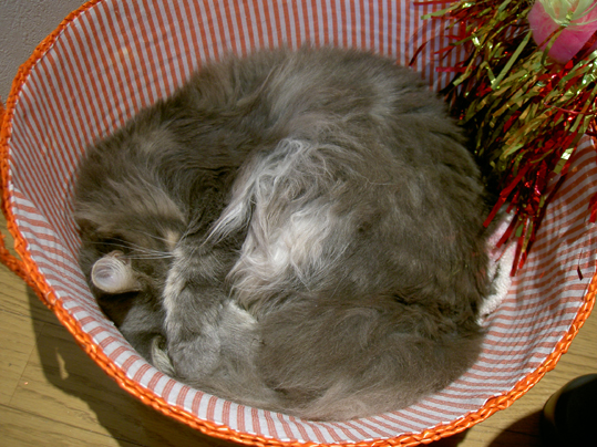 b0065499_084150.jpg