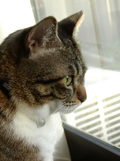 c0035001_1634194.jpg