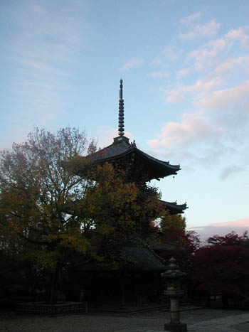 a0044202_8535495.jpg