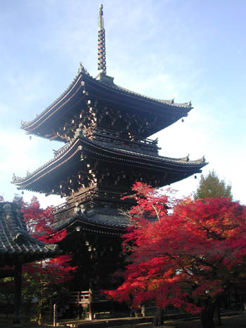 a0044202_854225.jpg