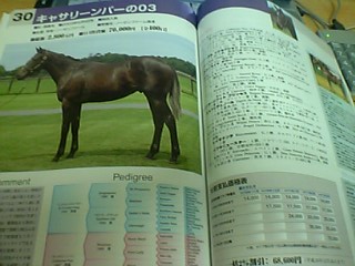 e0088402_21542672.jpg