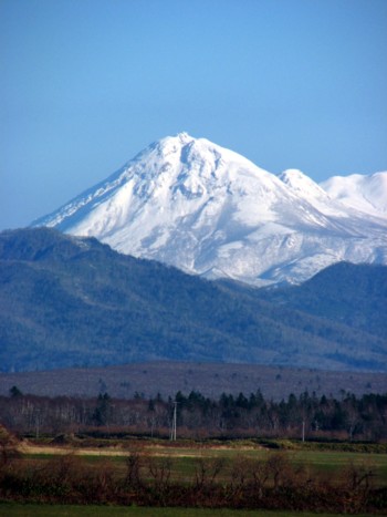 f0020302_16483323.jpg
