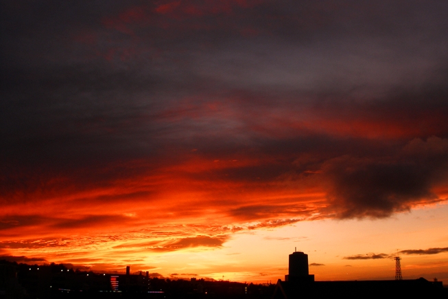 a0082706_1903014.jpg