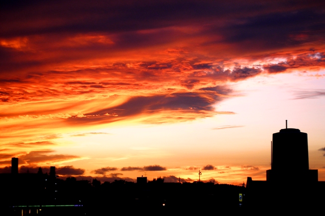 a0082706_1912854.jpg