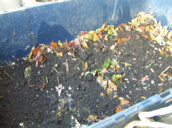 f0041606_2249243.jpg