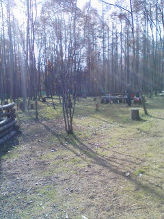 b0085408_1448278.jpg
