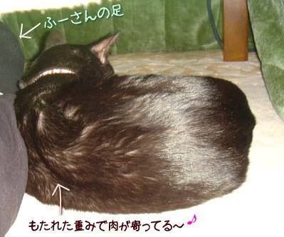c0027311_1519510.jpg