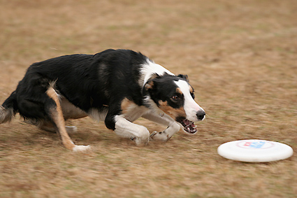 f0108112_22451427.jpg