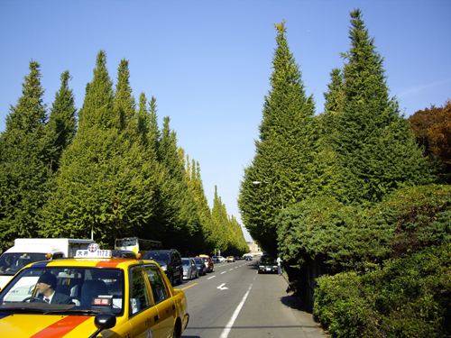 a0091314_032197.jpg
