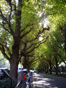 a0091314_111354.jpg