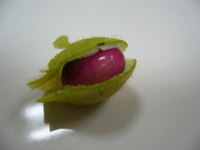 f0079723_19111543.jpg