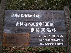 a0055835_1641239.jpg