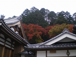 a0055835_166318.jpg