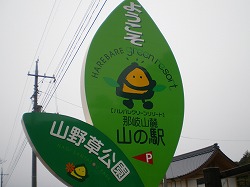 a0055835_17151016.jpg
