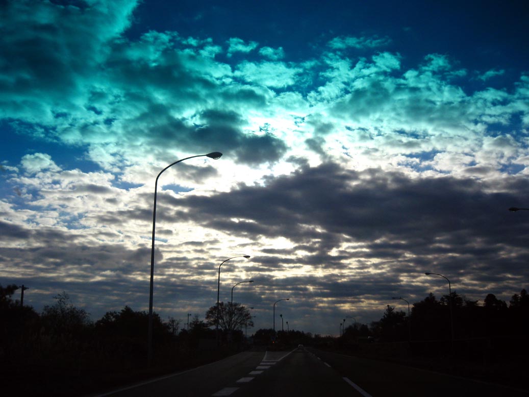 f0056038_2255139.jpg