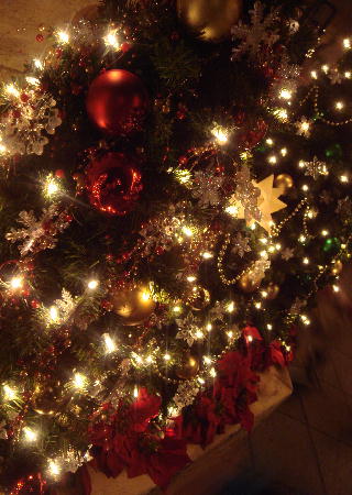 c0093339_22534723.jpg