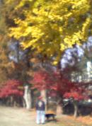 d0053940_19433193.jpg