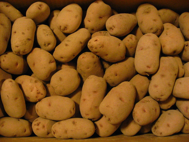 b0097747_13174275.jpg