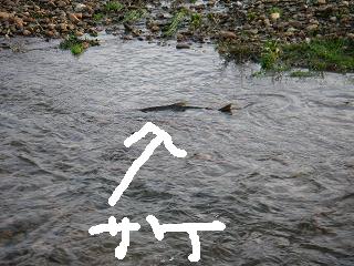 a0050048_1824453.jpg