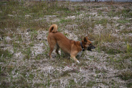 a0054948_13133374.jpg