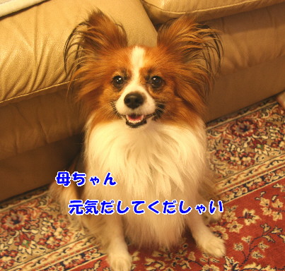 d0013149_23425872.jpg