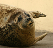 e0080452_91236.jpg