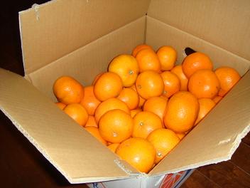 f0046854_1951416.jpg