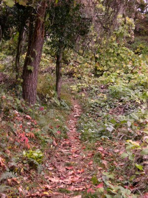 f0104057_1163449.jpg
