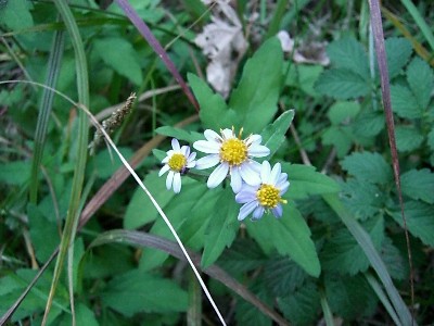 f0104057_1211439.jpg