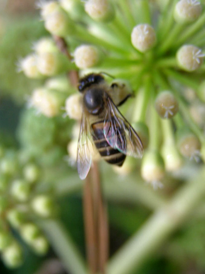 e0064158_13257100.jpg
