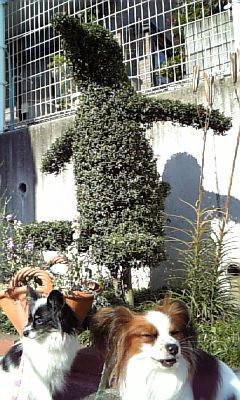 b0032962_21565428.jpg