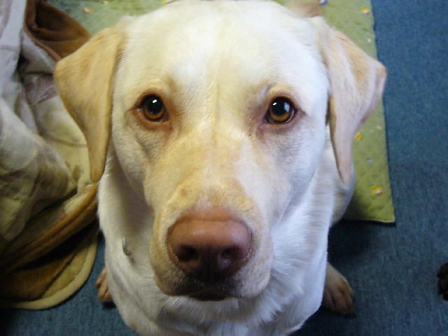 f0057565_16283518.jpg