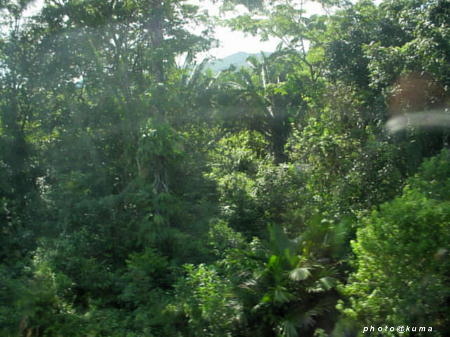 f0050468_124745.jpg