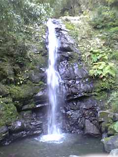 c0100570_1605462.jpg