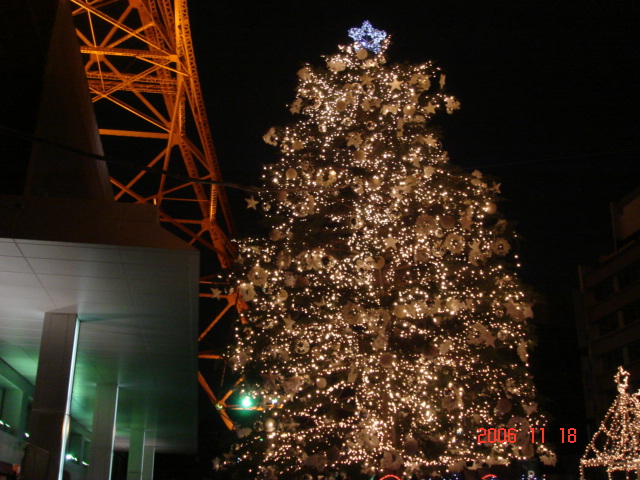 e0039871_1401797.jpg