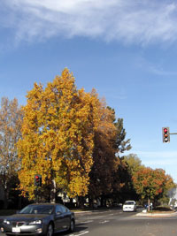 a0063472_012446.jpg