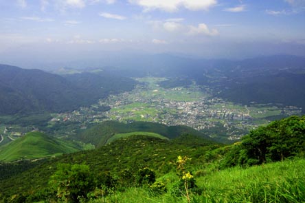 e0097678_245096.jpg