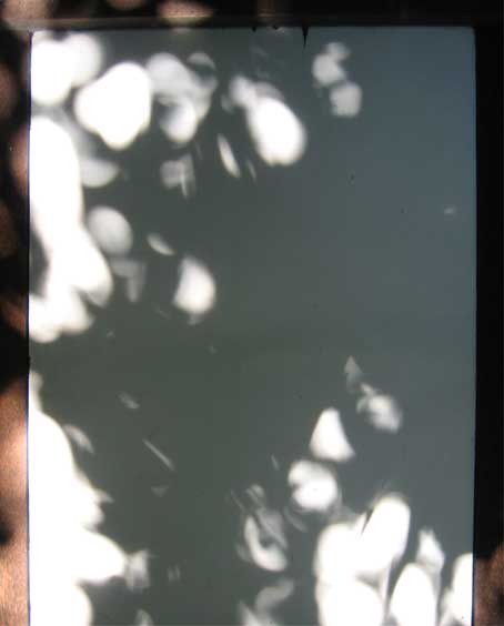 b0057679_853270.jpg