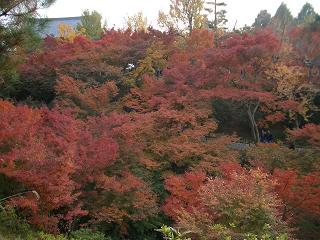 f0089079_412575.jpg