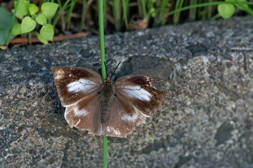 a0083081_16535030.jpg