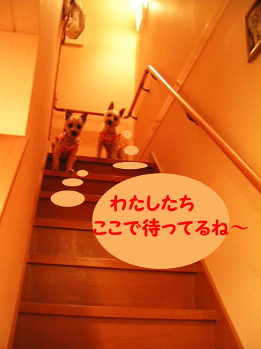 e0066883_2345644.jpg