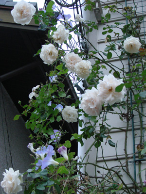 e0008586_21391733.jpg