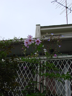 e0008586_214237100.jpg