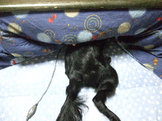 d0070289_17333478.jpg