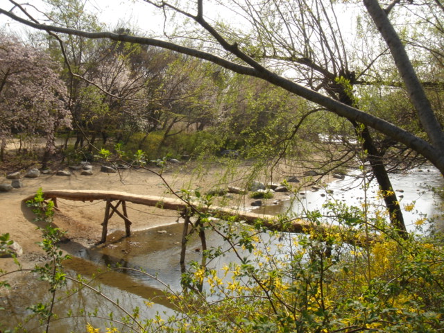 f0091590_3101869.jpg